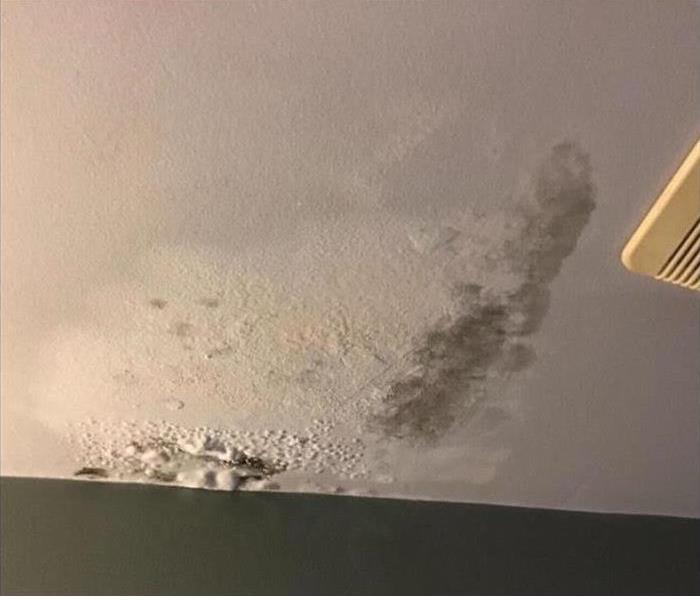 Mold on the Bathroom Ceiling